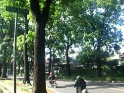 Sepenggal Kisah FO di Jalan Otten