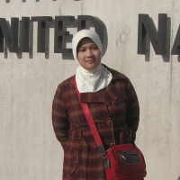 Ke Mana Arah Pajak Internasional Model PBB?