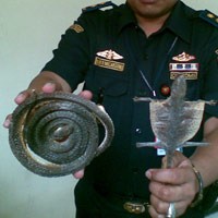 Bea Cukai Gagalkan Ekspor Tokek dan Ular Kering