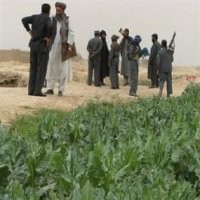 Bos Opium Donatur Taliban yang Ditangkap di RI Diadili di AS