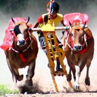 Mata Sakti Kalahkan Surya Lapindo