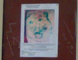 Kontrakan Hendra di Kotabumi di Police Line