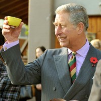 Pangeran Charles Puji Demokrasi di Indonesia