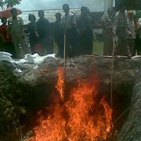 Tak Layak Konsumsi, 15 Ton Kulit Kepala Sapi Dimusnahkan