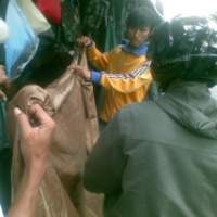 Musim Panen Pedagang di Malabar