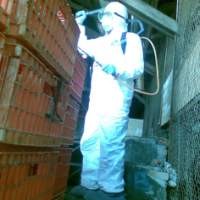 Tempat Pemotongan Ayam Milik Dadan Disemprot Disinfektan