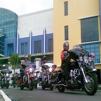 Peringati Hari Pahlawan, HDCI Gelar Tabur Bunga