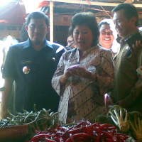 Belanda Minati Investasi Biofuel RI