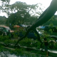 Dahan 6 Meter Patah, Pasopati Tersendat