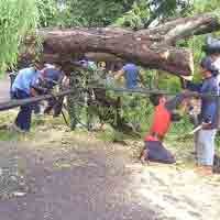 Puting Beliung Mengamuk di Magetan