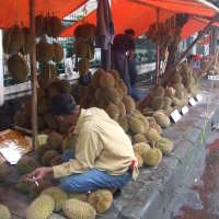 Santap Duren Sambil Lesehan 