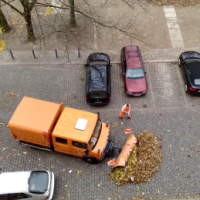  Sapu-sapu Daun Musim Gugur