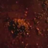 Nelayan Tak Tahu Menahu Soal Monster Air Ancol 