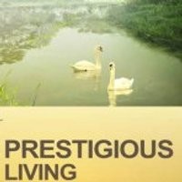 Petugas Kebersihan Alam Sutera Sering Lihat Ular di Taman