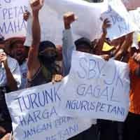 Pupuk Mahal, Petani Bojonegoro Kecam SBY-JK