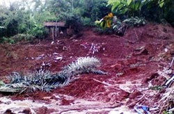 Pagi Ini, Pencarian Korban Longsor Cianjur Dilanjutkan