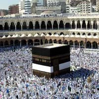 12 Ribu Kereta Dorong Disediakan Gratis di Masjidil Haram