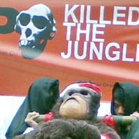 Orang Utan Mati Ditandu di Bundaran HI