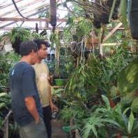 Bisnis Rental Bunga di Taman Cibeunying Tetap Wangi