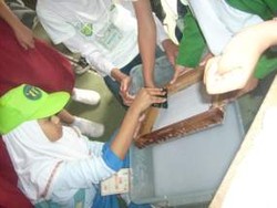 Ecoschool, Lets Prepare Our Green World!