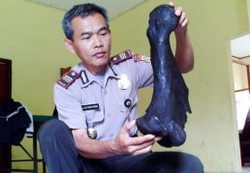 Komisi X DPR Desak Depbudpar Selidiki Temuan Tulang Raksasa