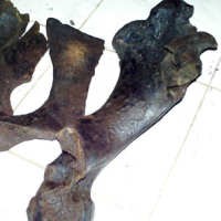 Pemkab Bekasi akan Undang Balai Penelitian Purbakala