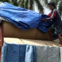 Akibat Krisis, Ekspor Kertas Bisa Rugi US$ 5,3 Miliar