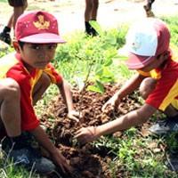 Sehari, Warga Tuban Tanam 1,5 Juta Pohon