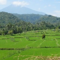 Lindungi Petani 