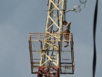 Pemanjat Tower di Solo Akhirnya Tewas Setelah Terjun Bebas