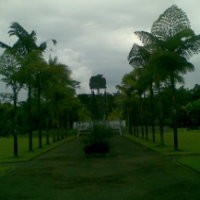  Melihat  Kota Emas di Tengah Hutan Papua