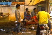 Krisis Tak Pengaruhi Omset Pedagang Hewan Kurban