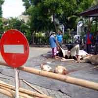 Gereja Gonzaga Bagikan Daging Kurban untuk Warga Miskin