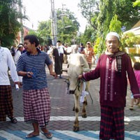 Warga Wage Arak Hewan Kurban Keliling Kampung 