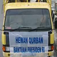 Keluarga Besar SBY Tambah Hewan Qurban ke Pacitan