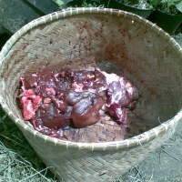 Distan Kota Bandung Temukan Cacing di Hati Sapi Kurban 