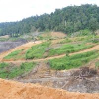  Dendam di Dekat Bukit Tengkorak 