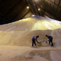 Indonesia Sudah Surplus Gula