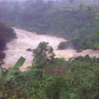 Seperti Petani yang Membunuh Semua Ular