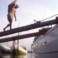 Seluruh Korban Berasal dari Tegal