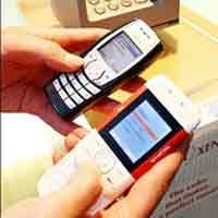 CP Nakal Curi Start SMS Kampanye