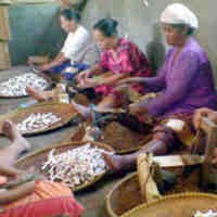 Produsen Rokok Terpukul, Tarif Cukai Rokok Naik