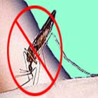 Ratusan Warga Kediri Terjangkit Chikungunya