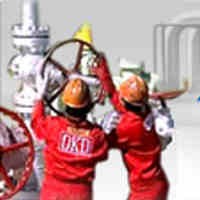 Pertamina Geothermal Garap PLTP Jika PLN Tak Siap