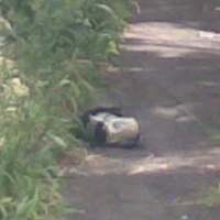 Kapolsek Cidadap: Itu Hanya Bom Bohong-bohongan