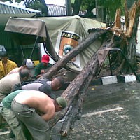 Dua Mobil & Pos Keamanan di Konjen AS Ditimpa Pohon