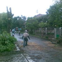 Tunggu Anaknya Keluar Kelas, Brukk.. Lia Jatuh Tertimpa Pohon