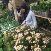 Pedagang Bunga Cihideung Terapung