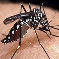 Tiga Bulan, Pasien Diare di RSD Soewandhi Capai 524 Anak