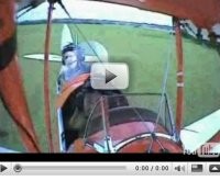 Pesawat Seruduk Sapi Nge-top di  Internet